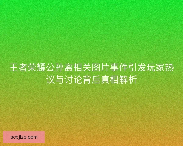 王者荣耀公孙离相关图片事件引发玩家热议与讨论背后真相解析