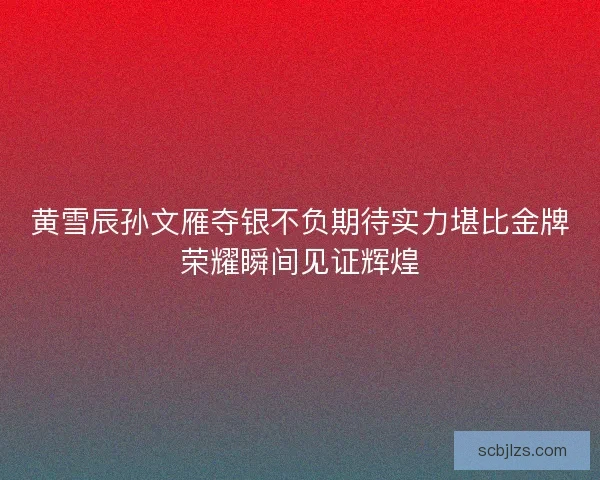黄雪辰孙文雁夺银不负期待实力堪比金牌荣耀瞬间见证辉煌